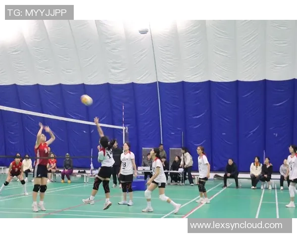 北京排球队的控制革新探索与实践：提升竞技水平的新路径与挑战